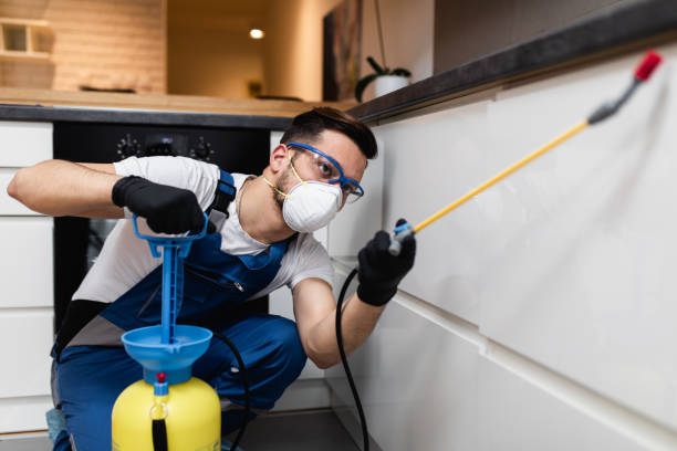 Best Pest Inspection Near Me  in Brushy, OK