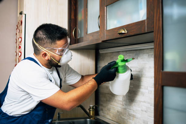 Best Pest Removal Services  in Brushy, OK