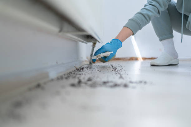 Best Exterminator Services  in Brushy, OK
