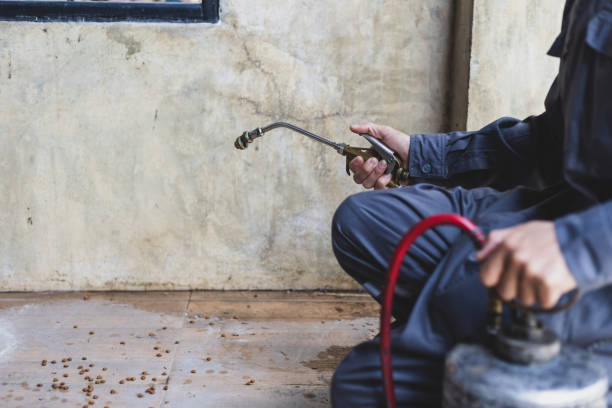 Trusted Brushy, OK Pest Control Experts